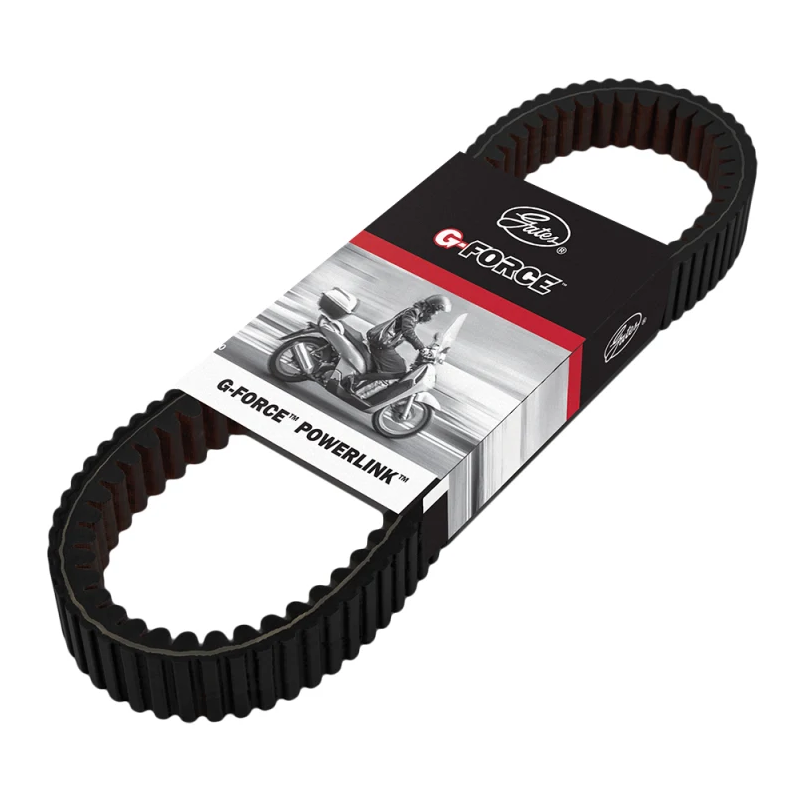 Cinghia trasmissione Gates Scarabeo 50 - Liberty 50
