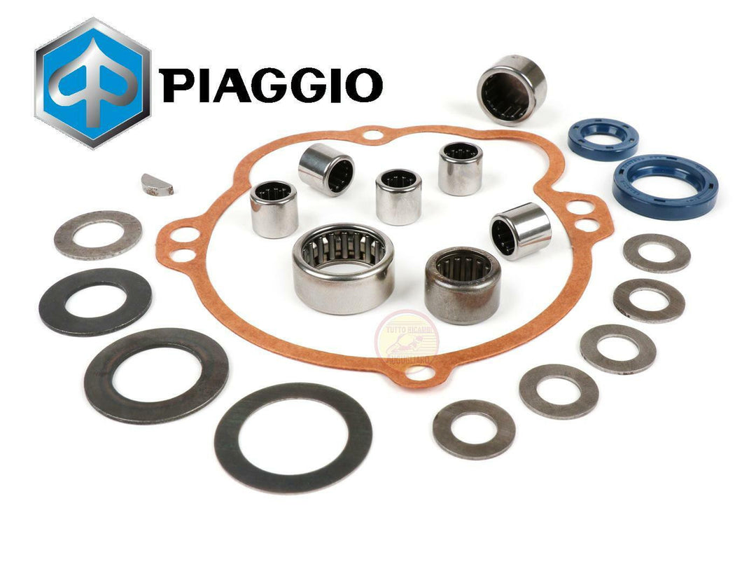 Kit revisione mozzo posteriore Piaggio Ciao Bravo Si con variatore
