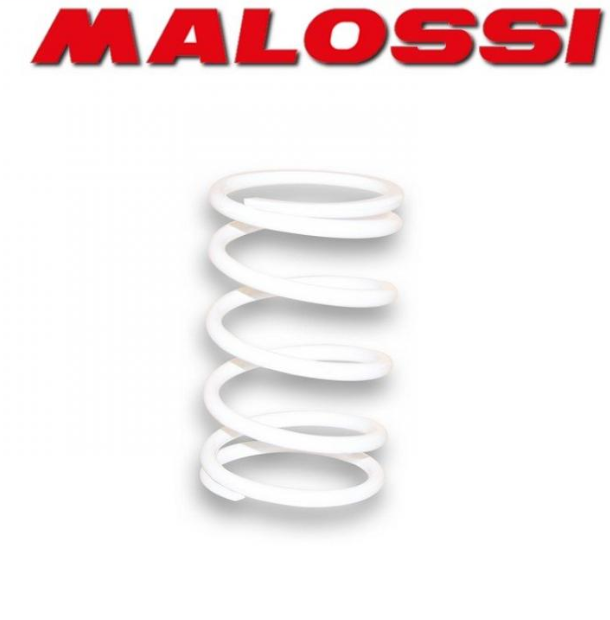 Molla contrasto bianca Malossi scooter Minarelli 50