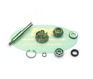 Kit revisione pompa acqua Honda SH Dylan Pantheon