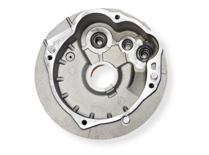 Carter mozzo posteriore 2.0 Street CON GABBIE A RULLINI Pinasco Piaggio Ciao Si Bravo con variatore