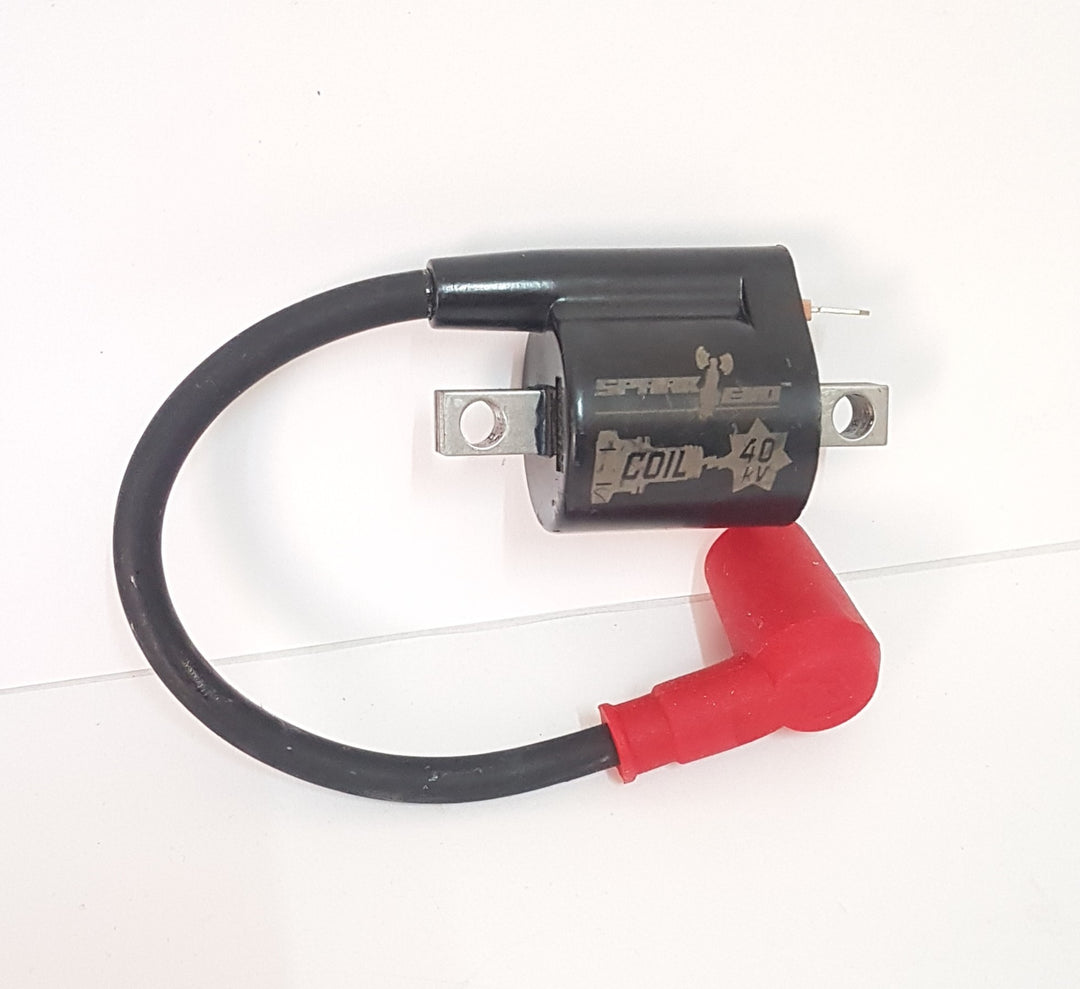 Bobina esterna accensione PowerSpark Piaggio Ciao Si Bravo con centralina Spark Evo Zero