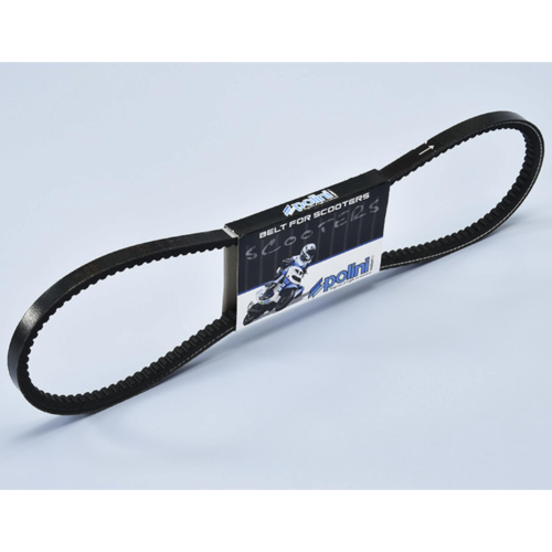 Cinghia trasmissione polini dentata Piaggio Si Boxer Boss con variatore