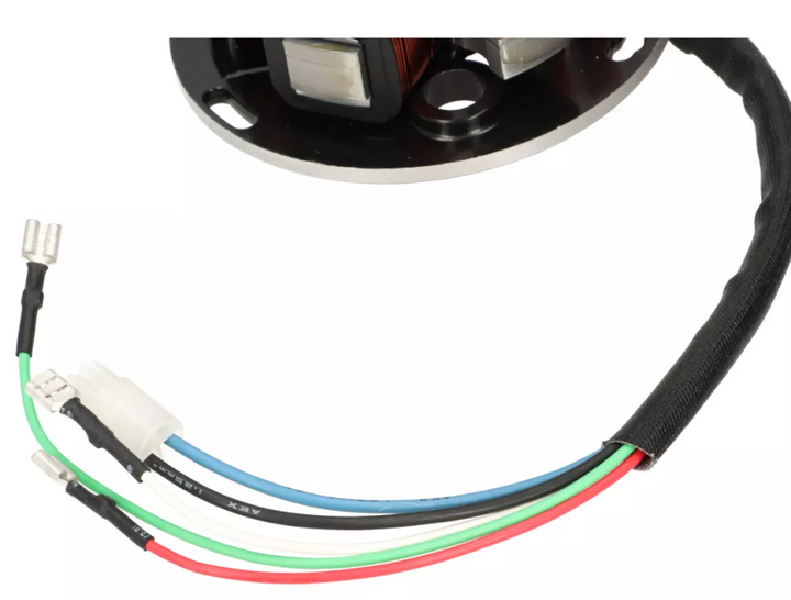 Magnete piastra statore BGM PRO 5 fili Vespa PE PX ARCOBALENO 125 150 200 PREORDINA