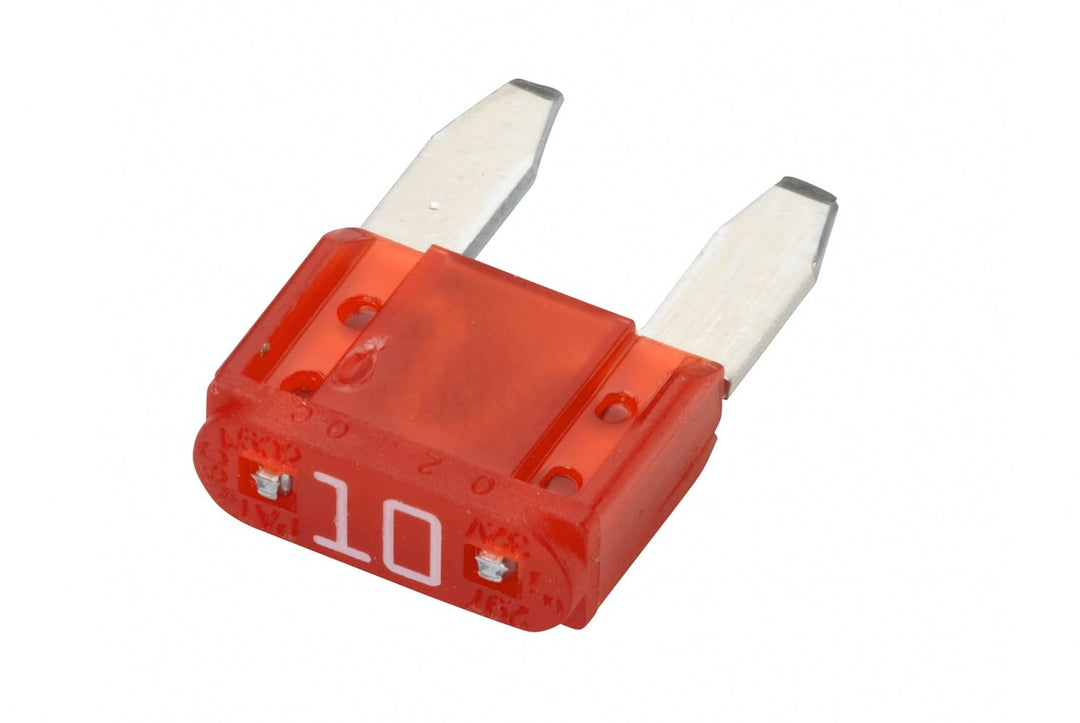 Fusibile tipo piccolo 10 ampere rosso universale Scooter Moto Auto