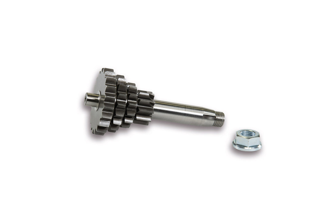 Ingranaggio cluster 10 14 17 20 Malossi Vespa 50 Special L N R PK S XL 125 ET3 PRIMAVERA