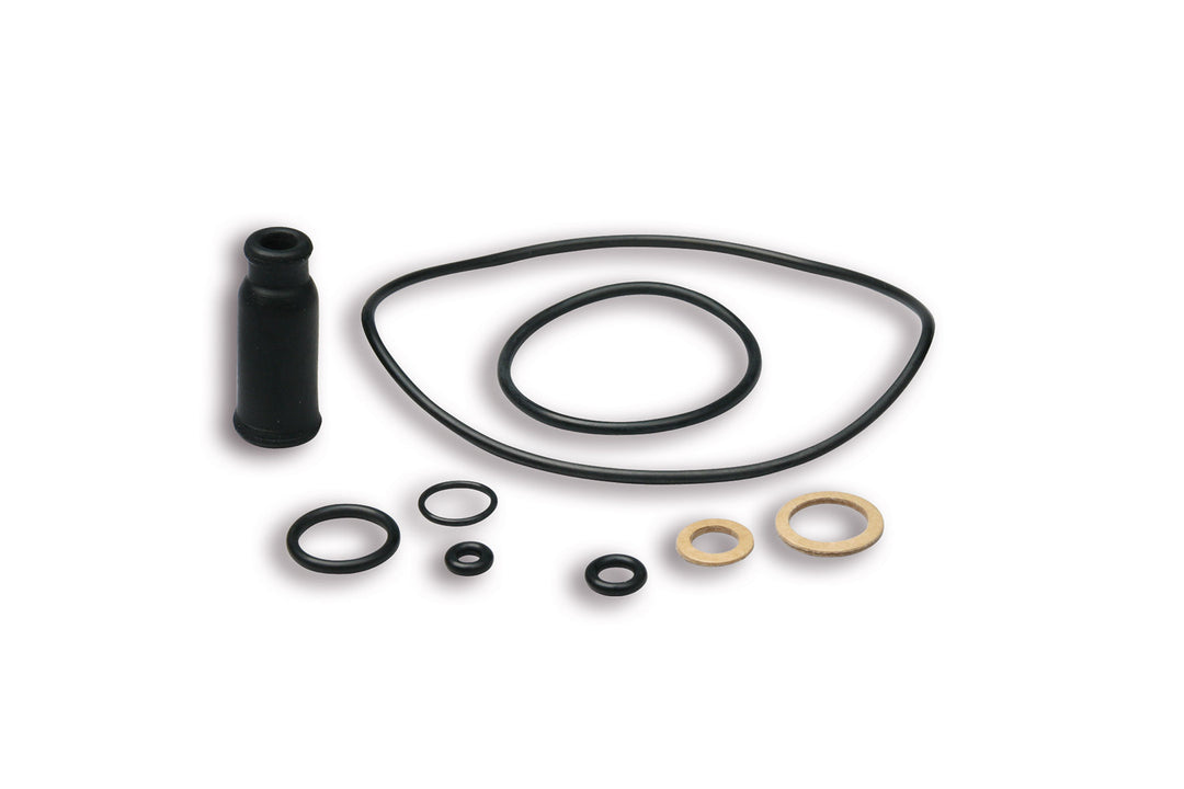 Serie guarnizioni carburatore dellorto PHBL - AS - AD - BS - HS