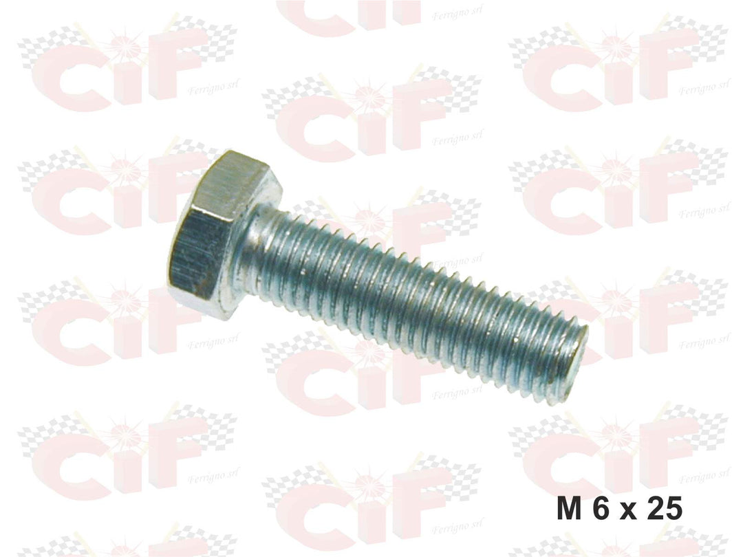 Perno vite testa esagonale M6X25mm