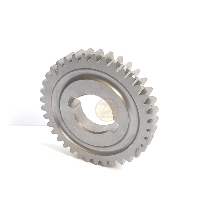Ingranaggio 37 denti coperchio ingranaggi variatore Piaggio Ciao Si Bravo Boxer